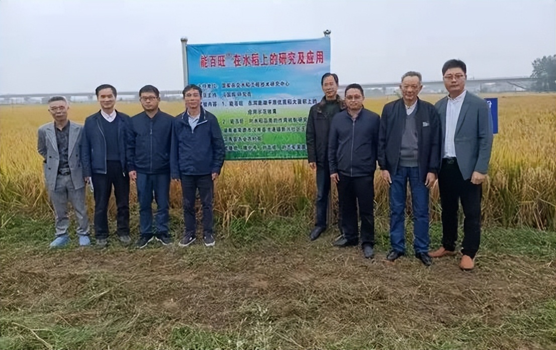 能百旺在作物上一年使用几次,能百旺在水稻上应用效果