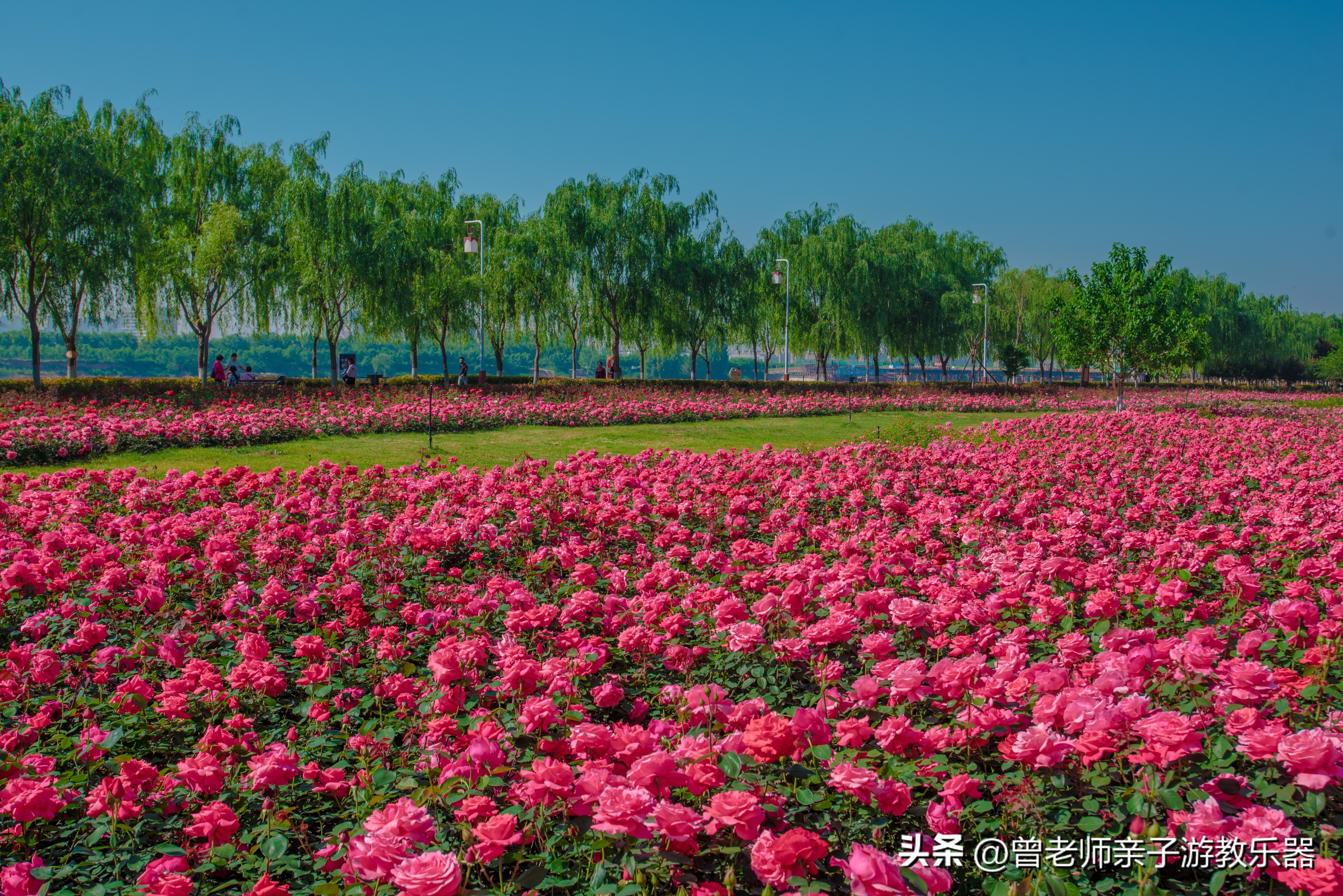 西安旅游景点免费推荐一日游攻略,西安旅游必去景点推荐一日游免费
