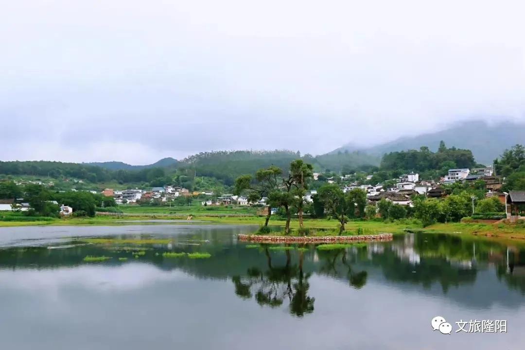 冬樱散场菜花香，蜂飞花间采蜜忙：用一天的时间去邂逅乡野风光