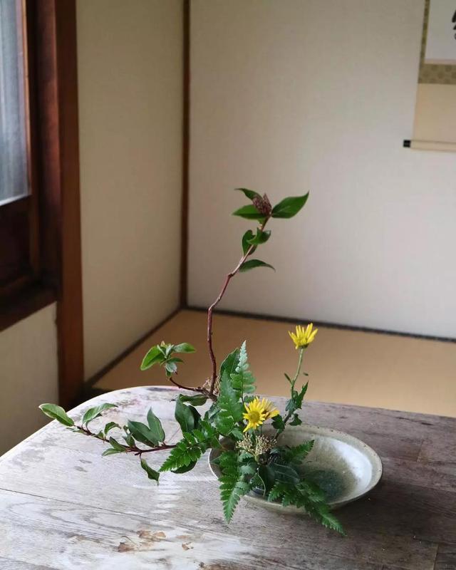 不会插花的句子,不会插花怎么办