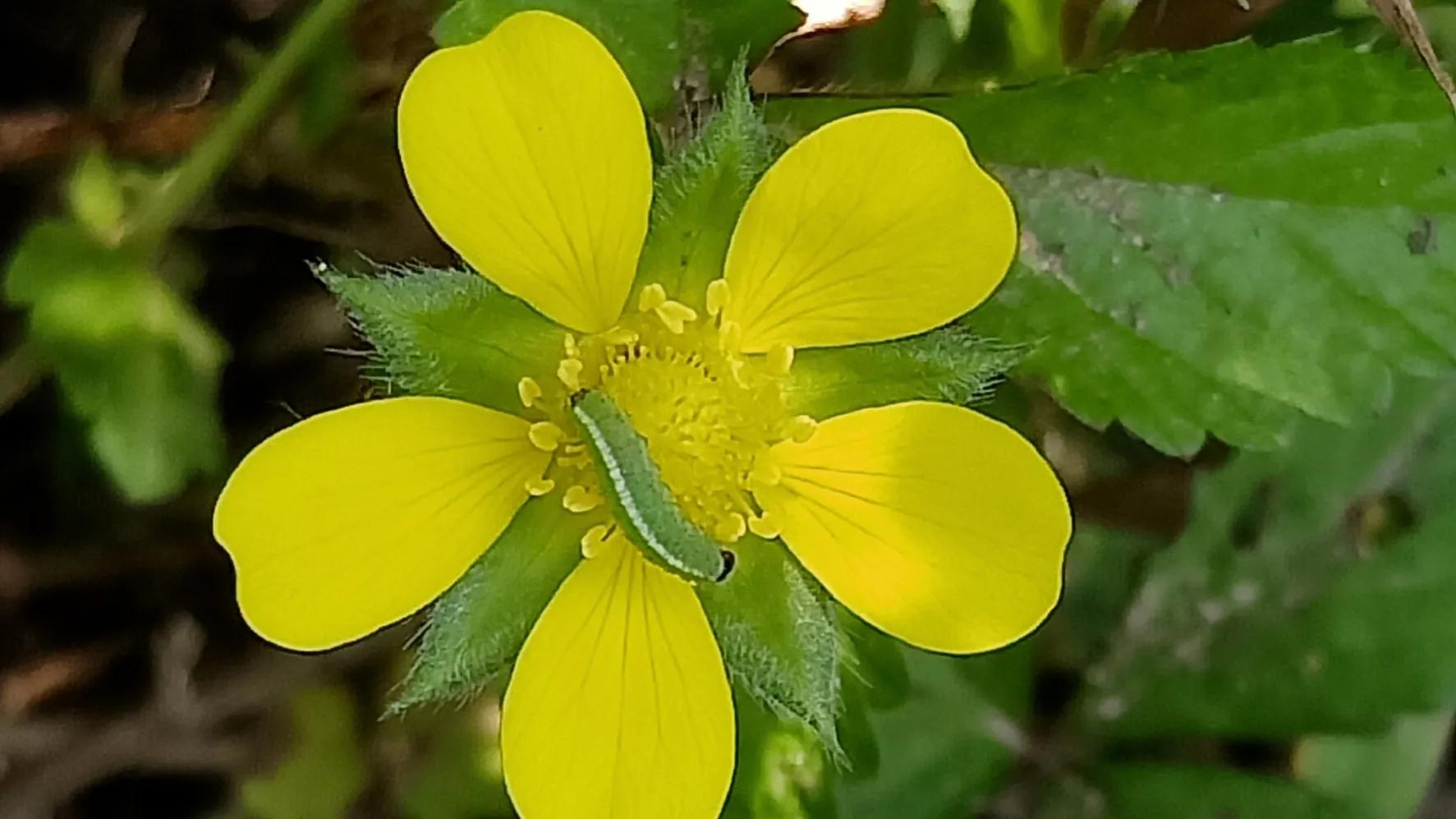性是第一位的——女人会爱上多个男人合理吗因爱而性、因性而爱