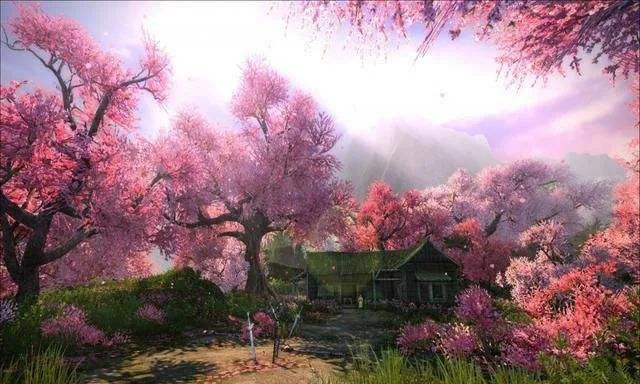 金庸笔下的桃花岛句子,一起感受金庸笔下的桃花岛