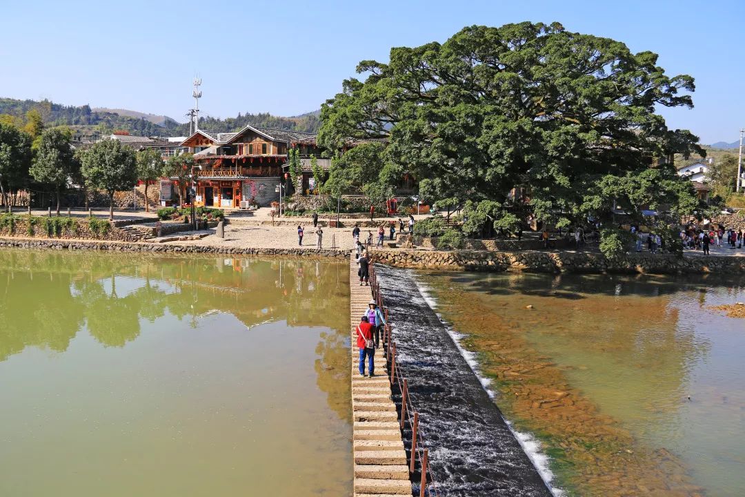 厦门旅游亲子酒店,厦门岛内亲子好去处