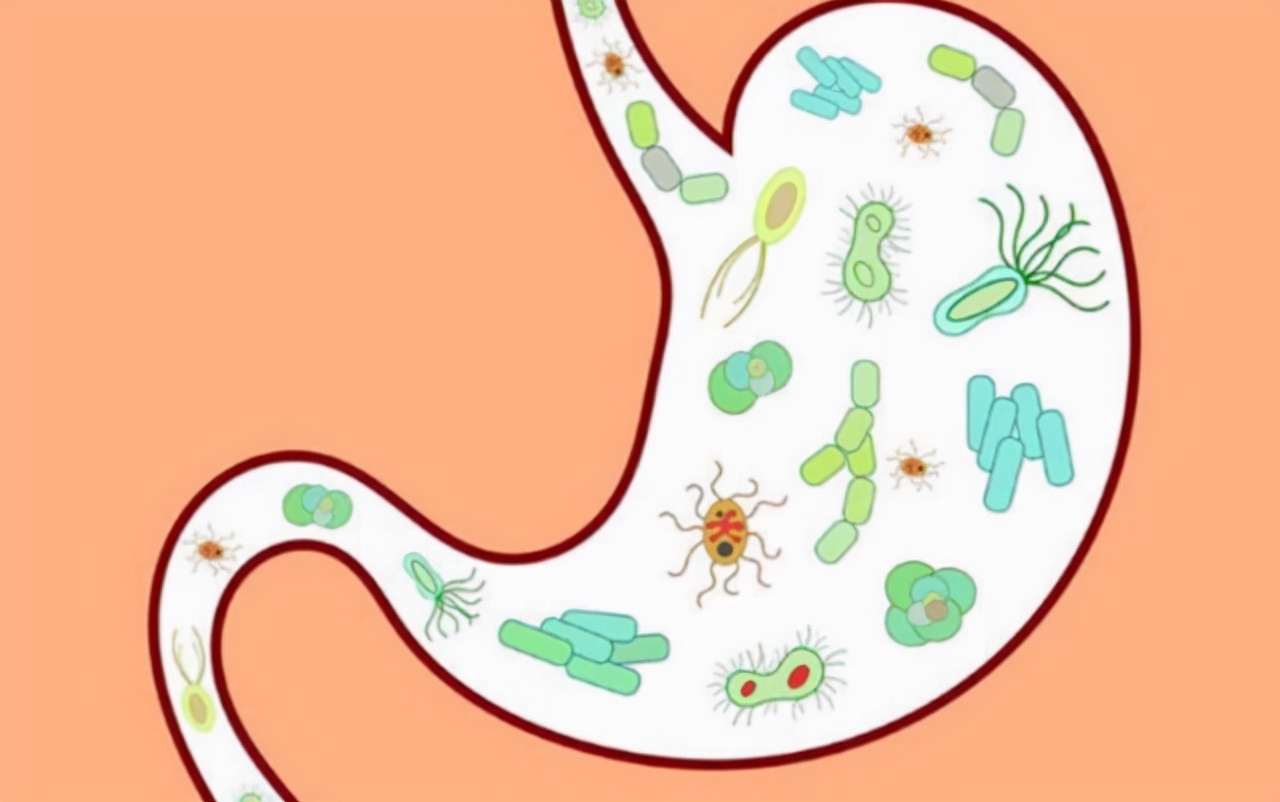 吃饭吃得少能活多久,吃得少老得慢