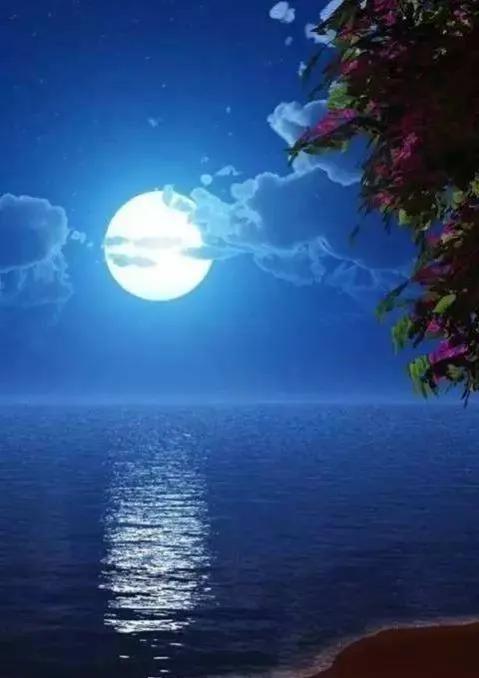 李兰芳歌曲国外翻唱,李兰芳视频大全