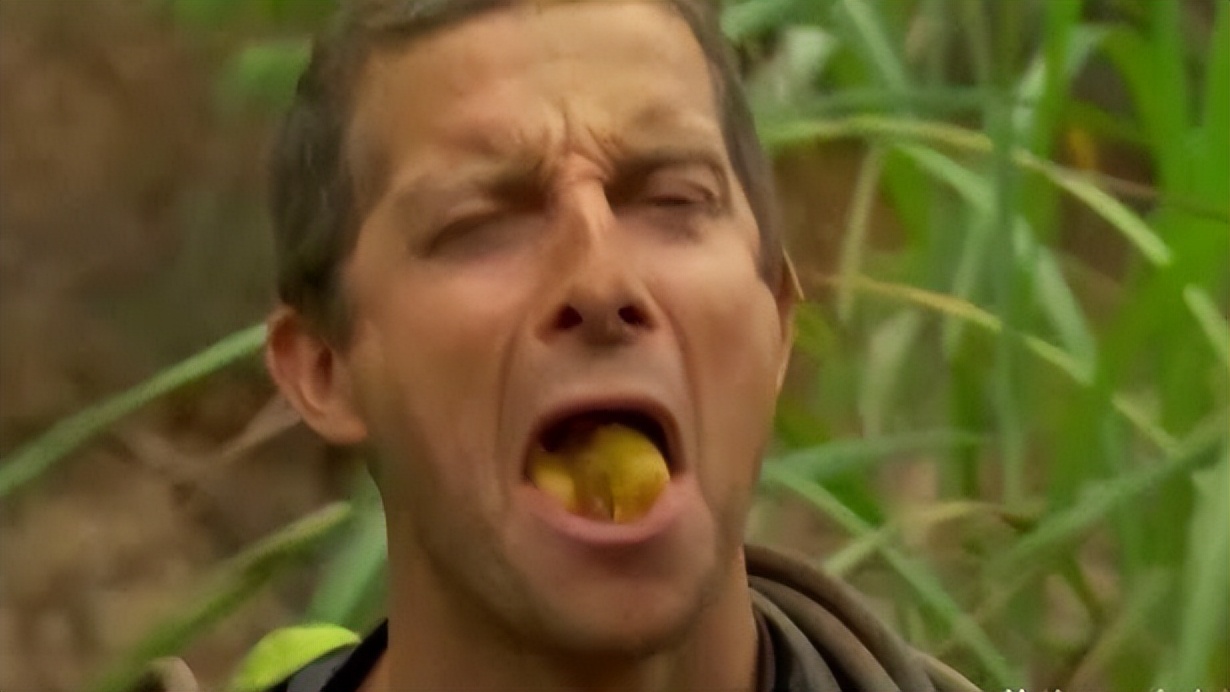 皮蛋被评为最恶心的食物,皮蛋有毒的食物