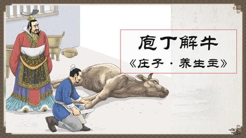 道家智慧视频全集,道家智慧最强的人