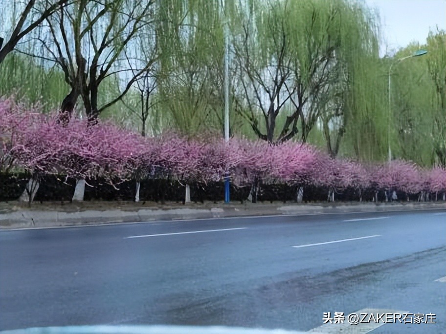 石家庄早新闻,早新闻完整内容