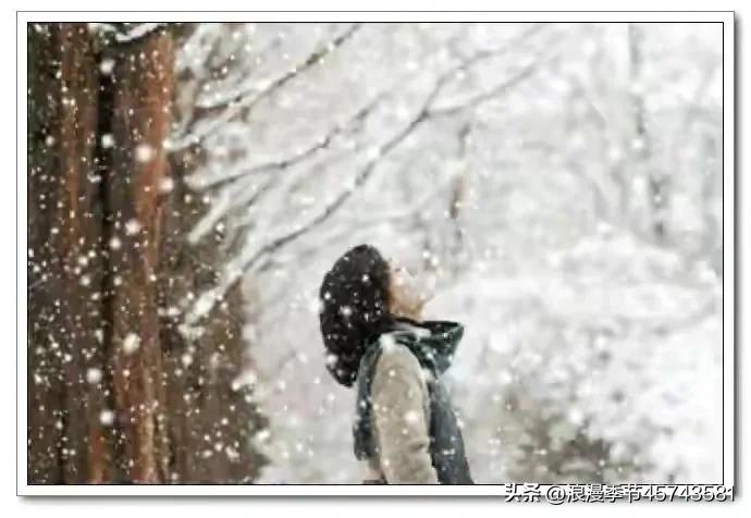 冬的尽头便是春天,冬的尽头一定是春天下一句