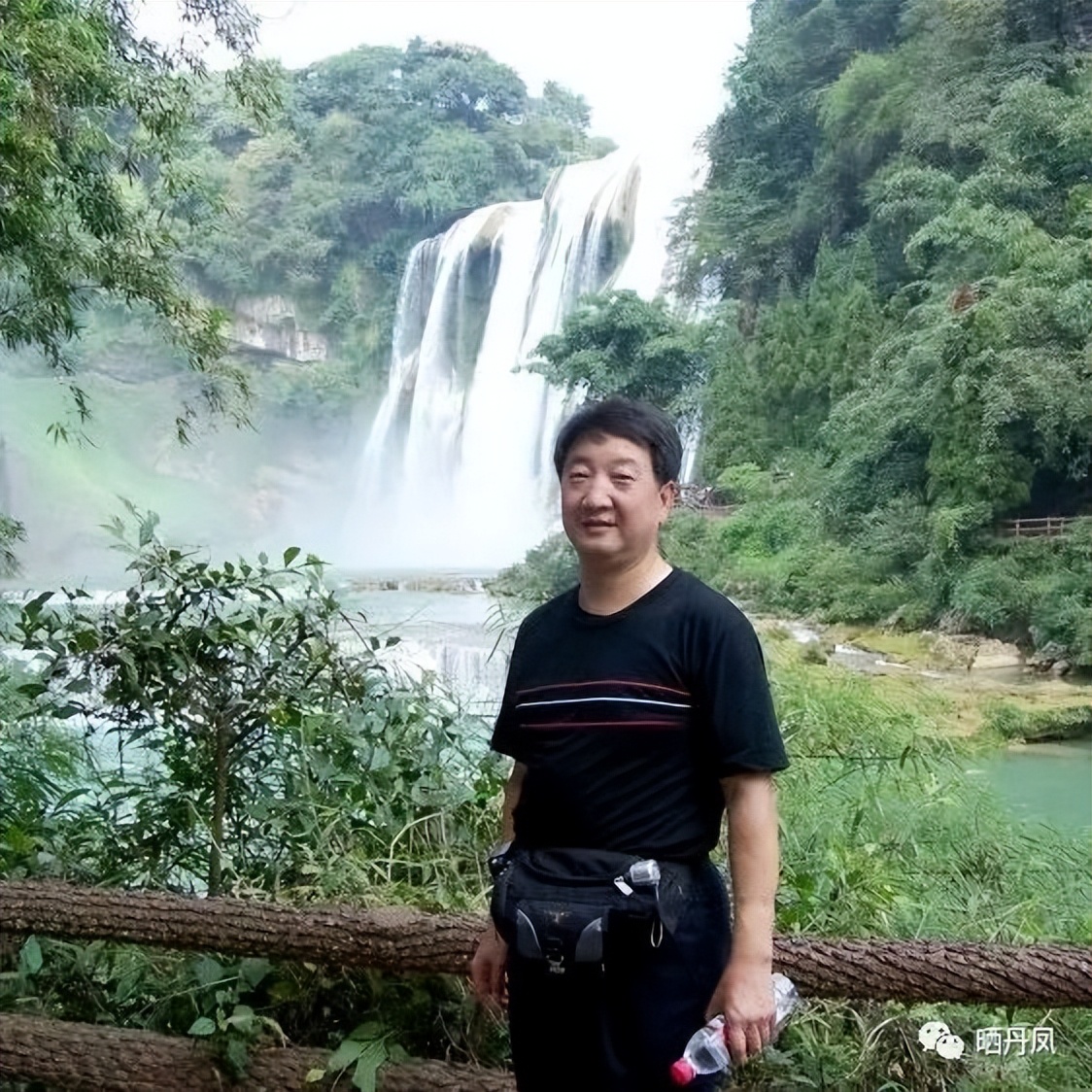 金佰安：我家后院那棵葡萄树