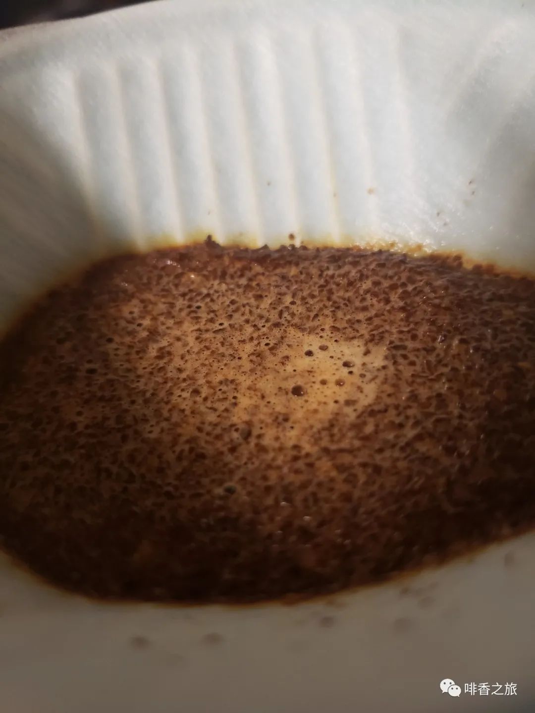 咖啡的产地及分布,咖啡四大著名产地