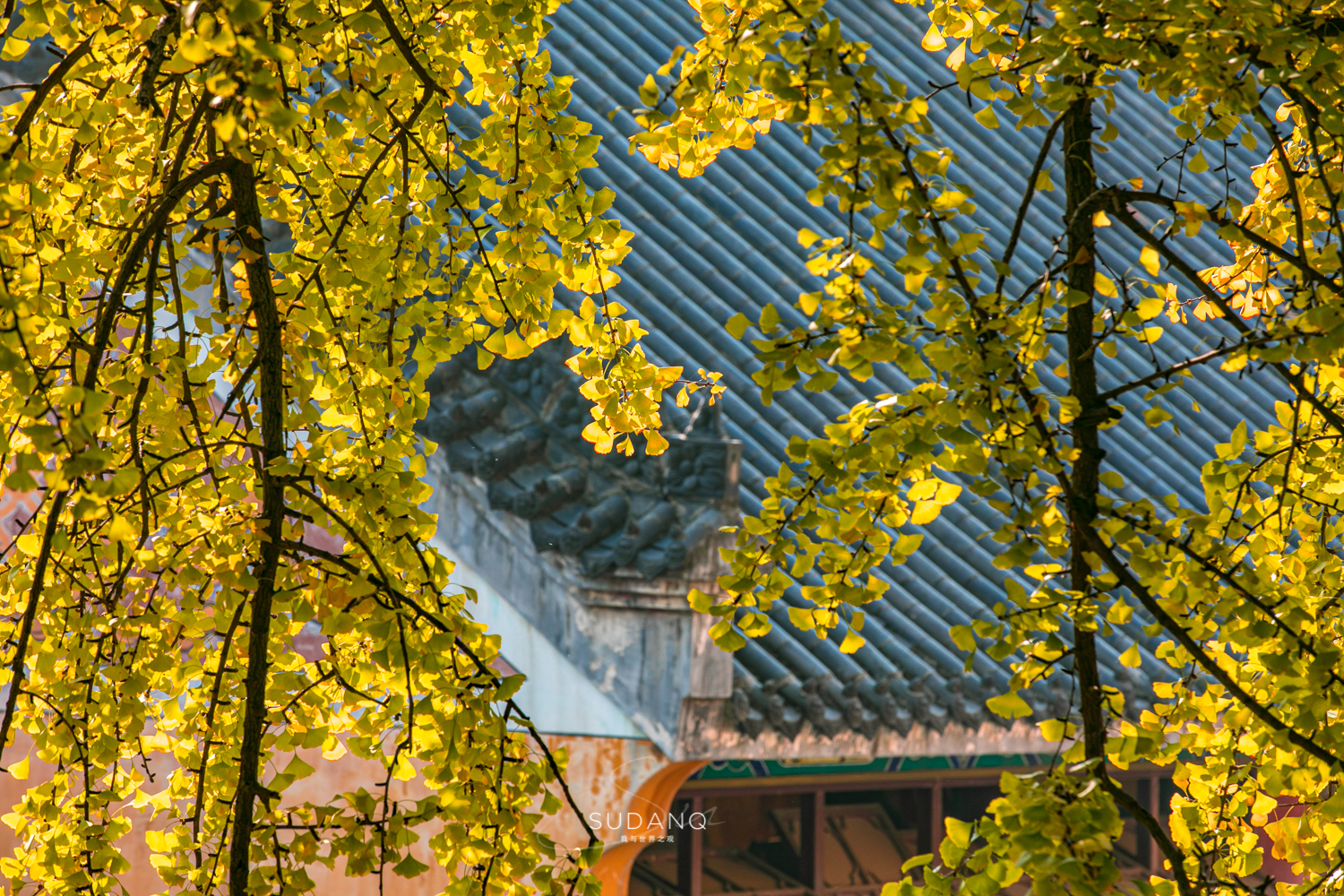 大自然塑造了我,大自然塑造者