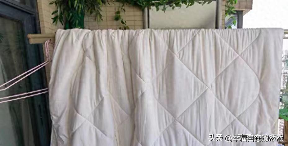 羽绒被太阳晒能杀菌吗,羽绒被洗后晒干有黄渍