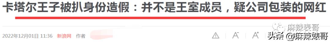 金晨模仿卡塔尔小王子自拍,金晨模仿卡塔尔王子自拍引热议