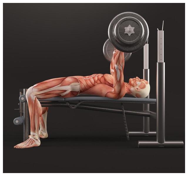 衣服棉与聚酯纤维比例多少最好,聚酯纤维和锦纶的衣服哪个好