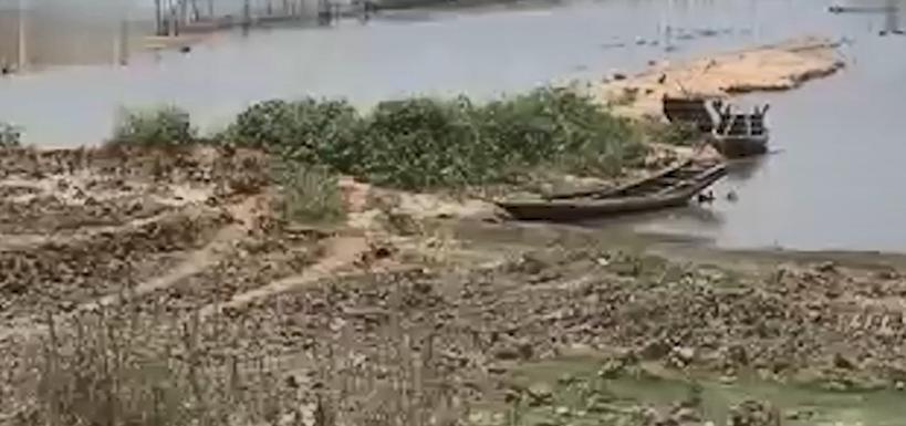 男子花20万买受伤鲶鱼,男子花20万买了一条受伤的鱼