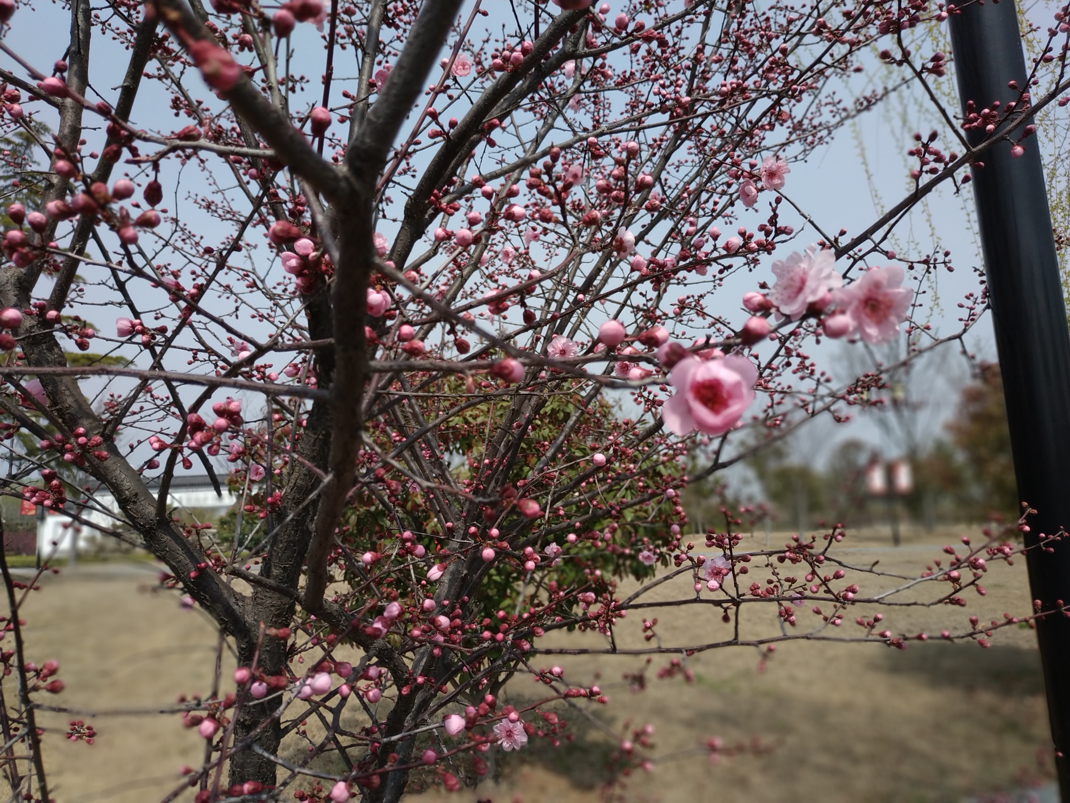 自驾游，品位兄弟的（陋室）雅苑
