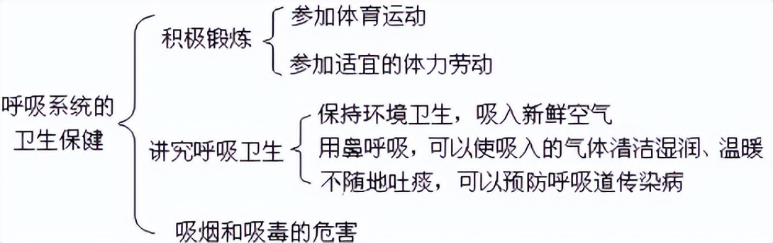 科学知识大全小学生必背,科学知识大全全集