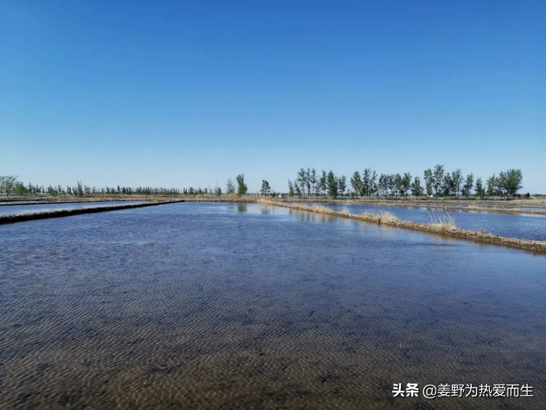 螃蟹怎么养才认人,养螃蟹的十大忌讳