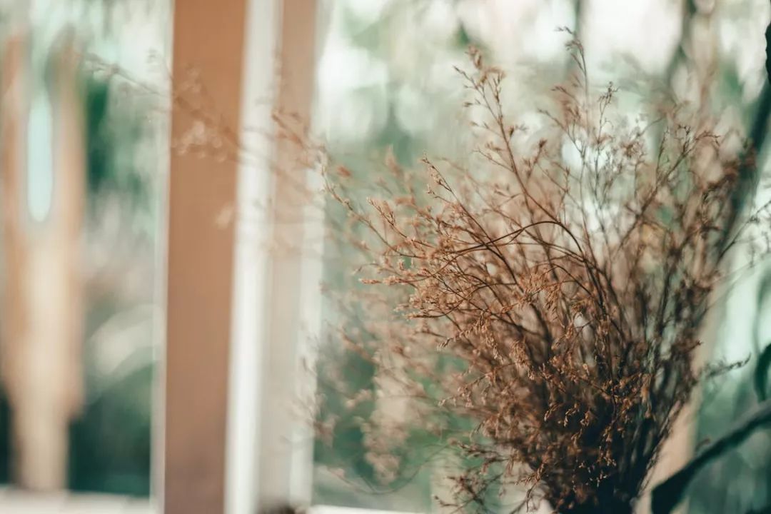 早安春分的祝福图片,今日春分早安心语