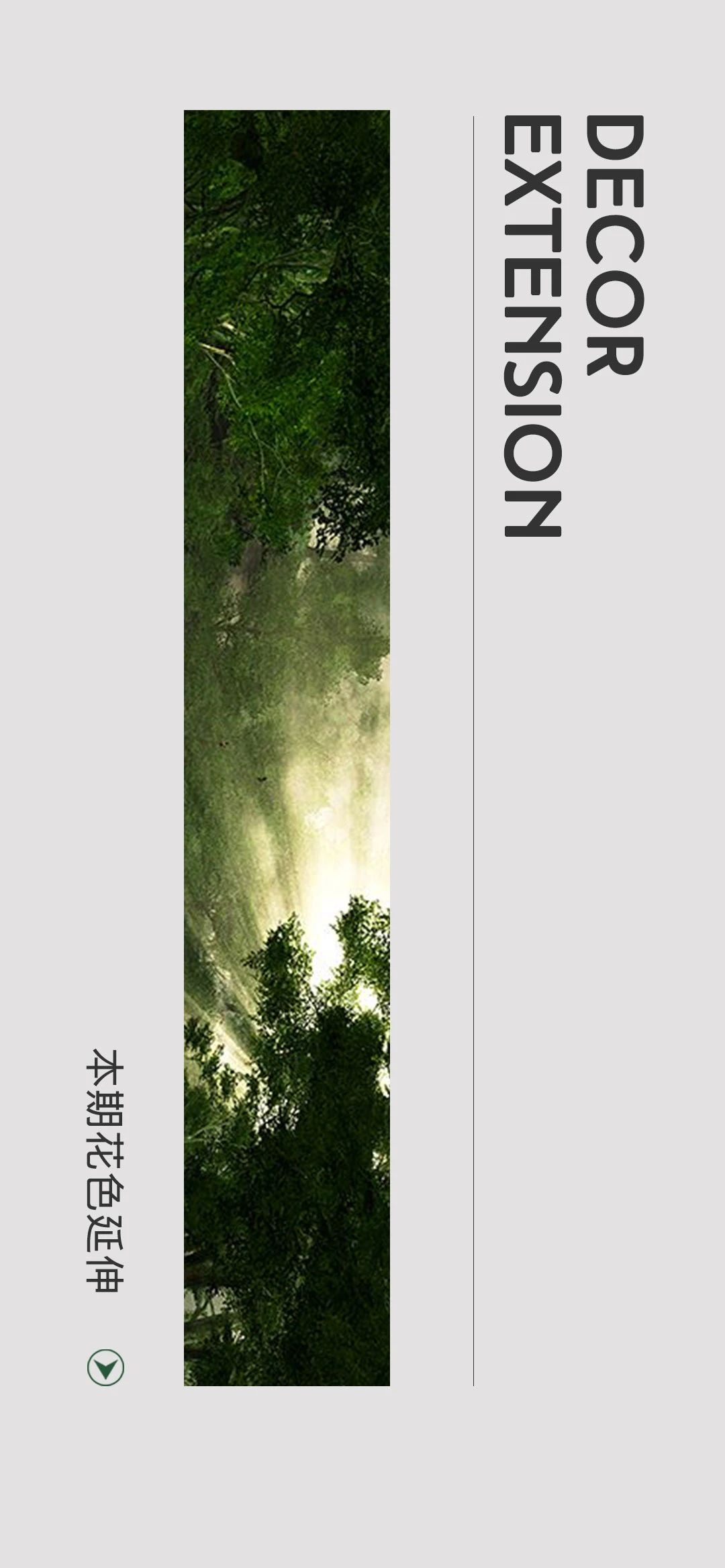 美饰佳装饰纸,美丽佳高端装饰纸