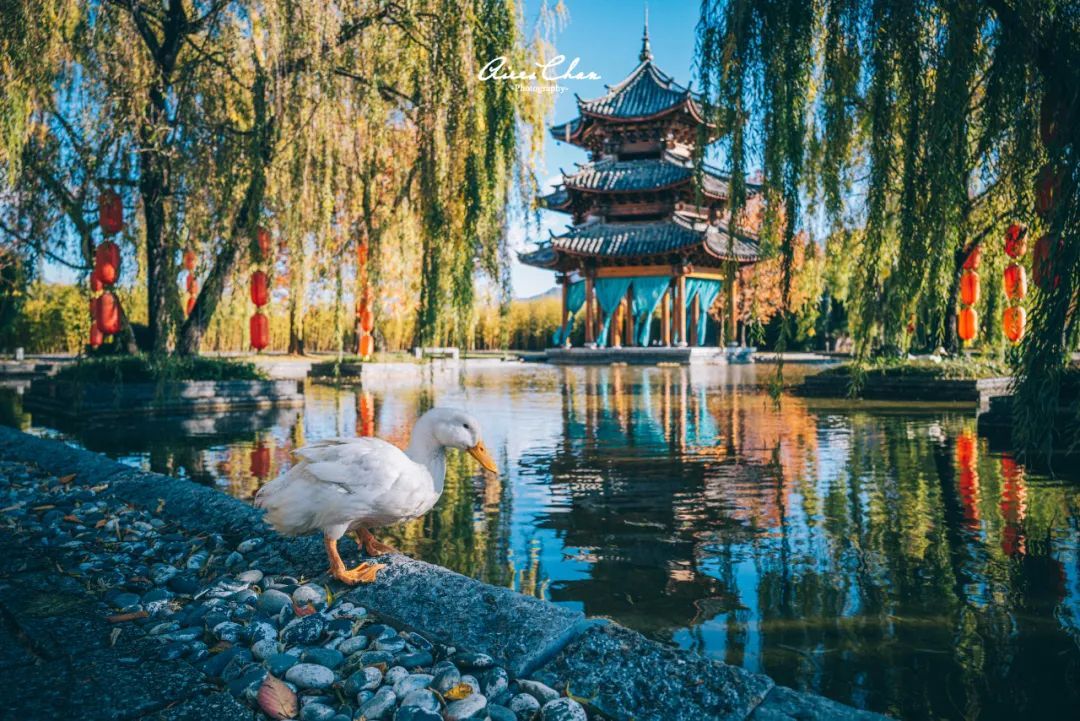 丽江悦榕庄酒店用餐,云南丽江悦榕庄酒店价格