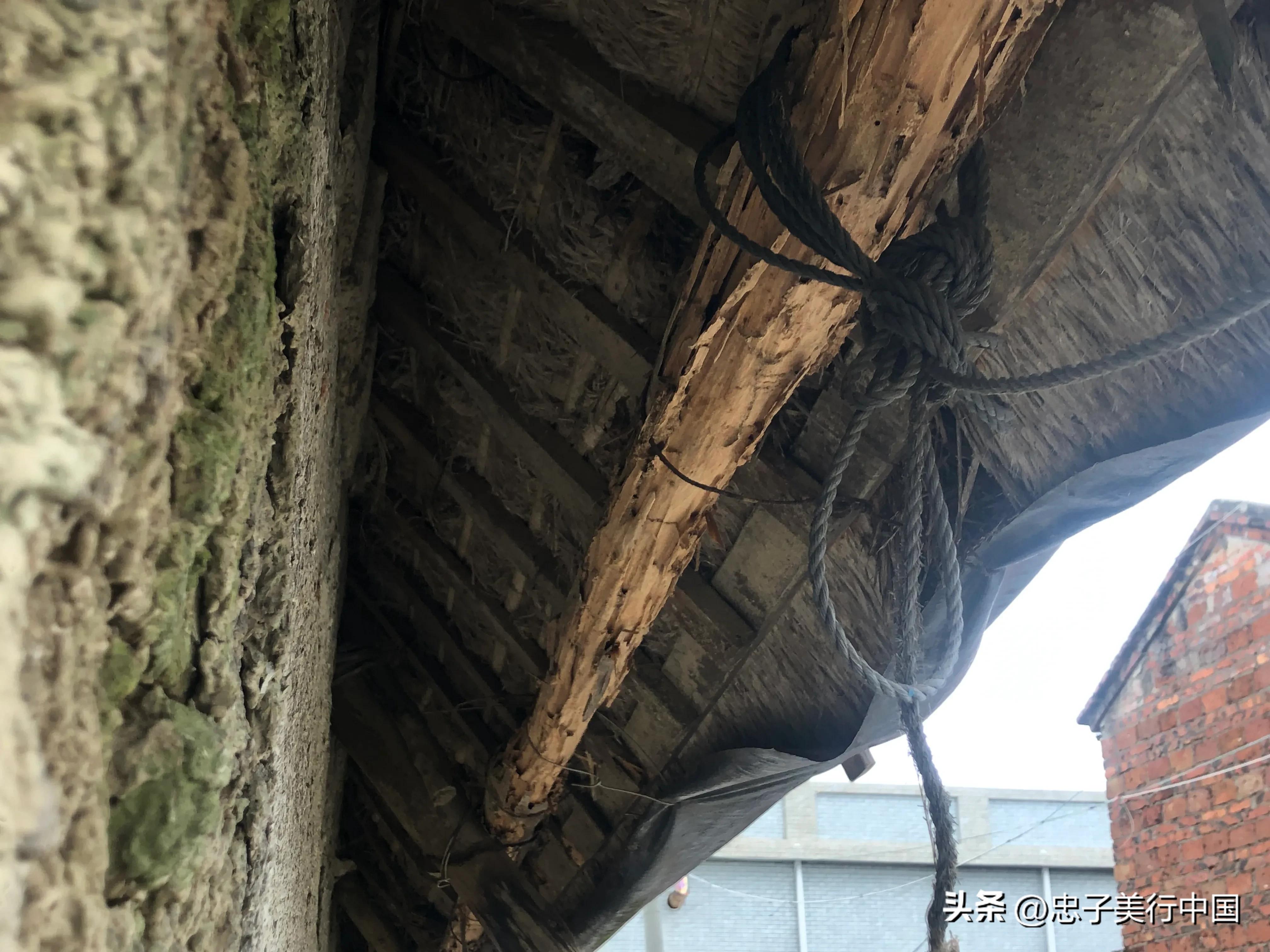 广东省雷州关于石狗的民间传说,雷州石狗简介