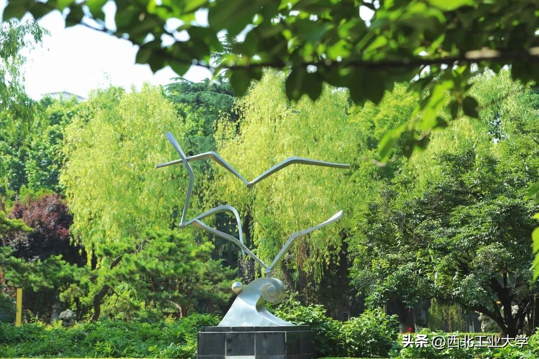 今日雨水!工大四季高清美图，欢迎欣赏使用~