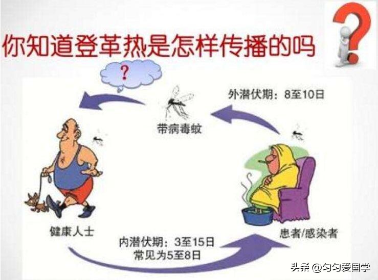 女子出国旅游被蚊子咬确诊登革热,警惕国内检出多例登革热病例