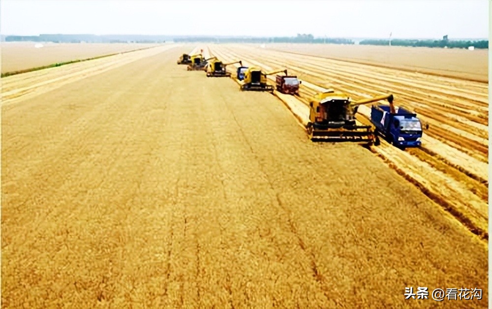 河南西华县是哪个市,西华县各个地方的介绍