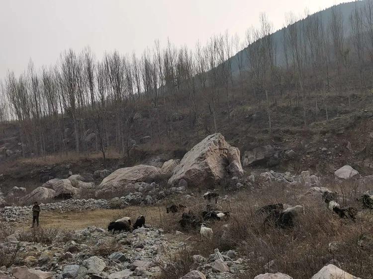 绝壁大梯白云寺,徒步白云寺