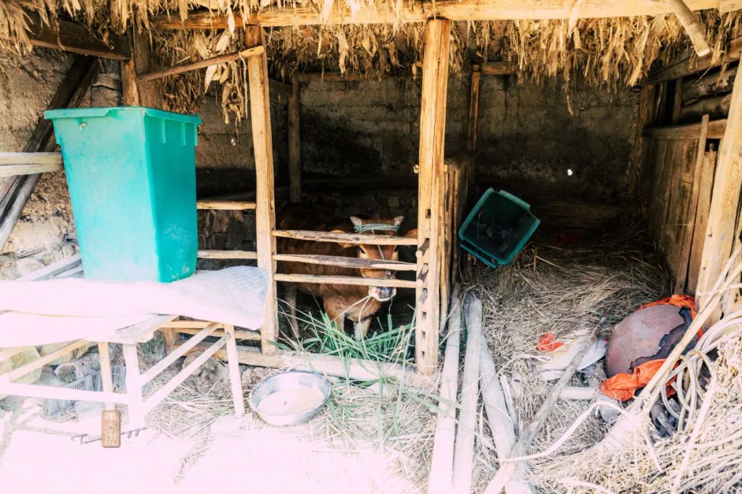 鍏泜绉樺,浠欏眳鍏泜绉樺