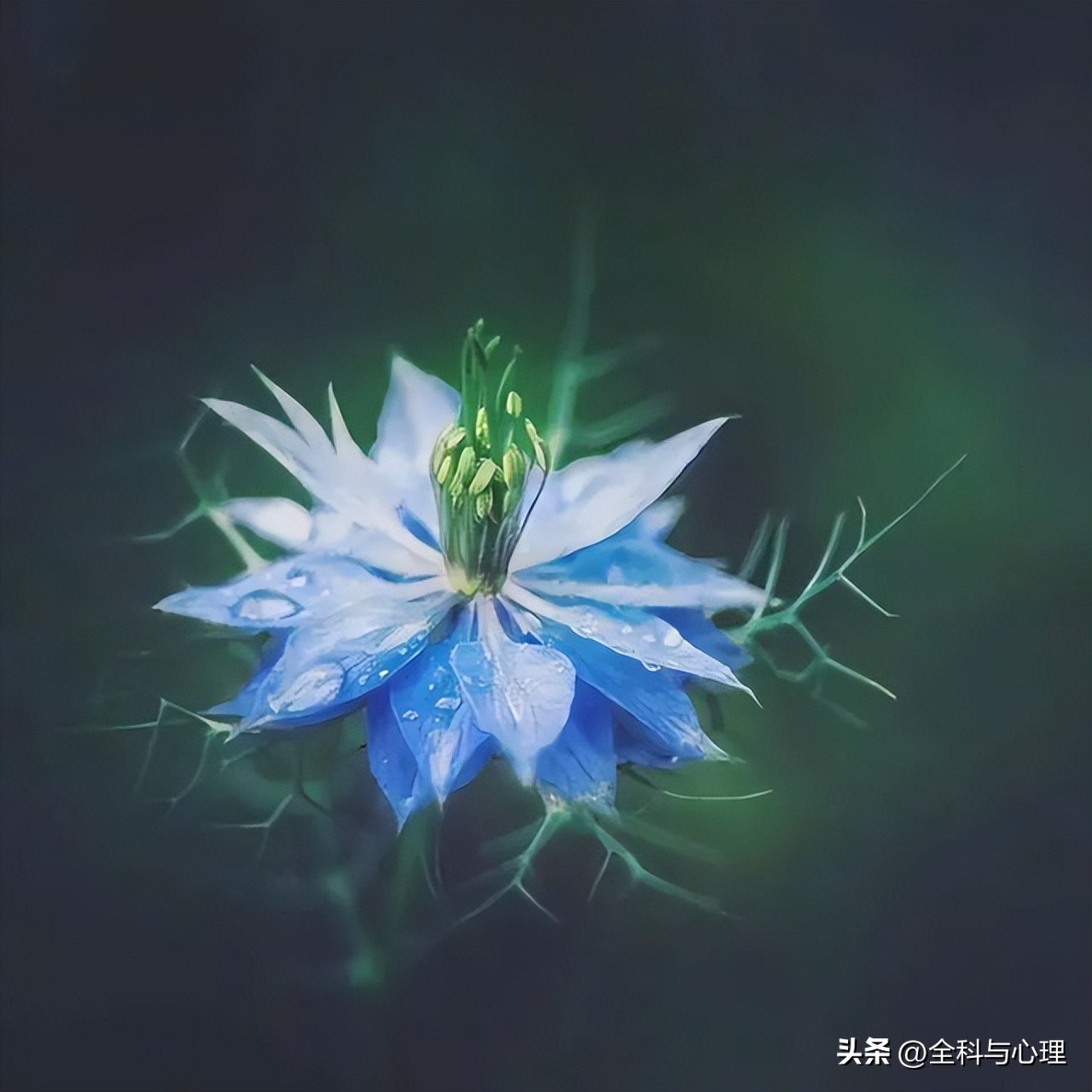 风雨迷茫的早安语,心情不好迷茫的早安文案