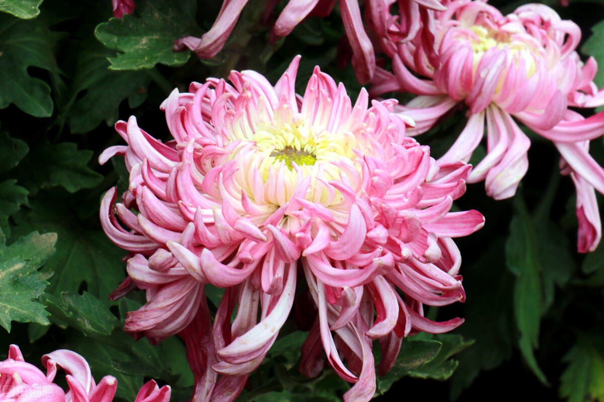 郭进栓汝州,郭进栓