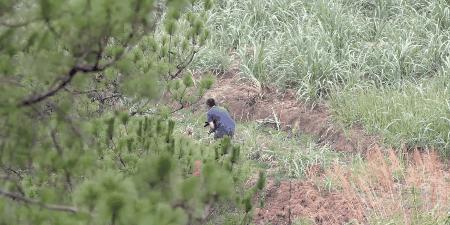 中国人冒死拍的纪录片,一群中国人冒死拍摄