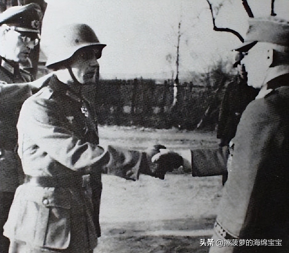 霍尔姆盾章二战德国,二战德国军奖章