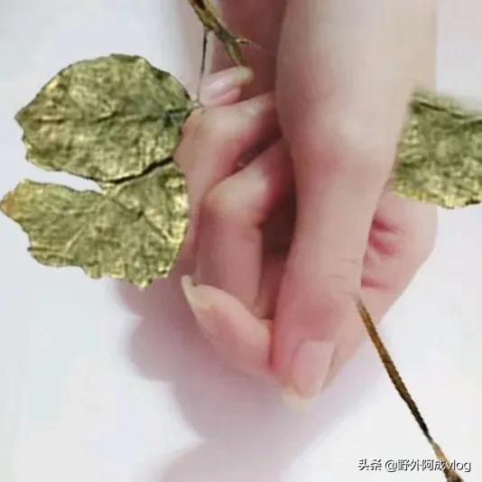 在医院里一个床位难求,没有关系能去医院吗