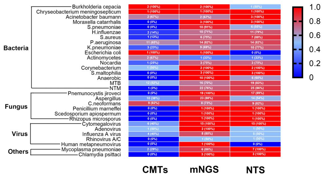 鍛ㄥ崕鍖荤敓瀹屾暣瑙嗛,婀栧寳涓尰鑽ぇ瀛﹀壇鏁欐巿鍛ㄥ崕