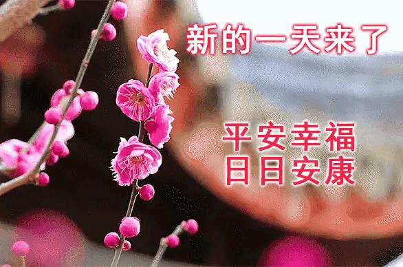 庚子日柱2023年癸卯年运势,癸卯年2023年哪个月出生最好