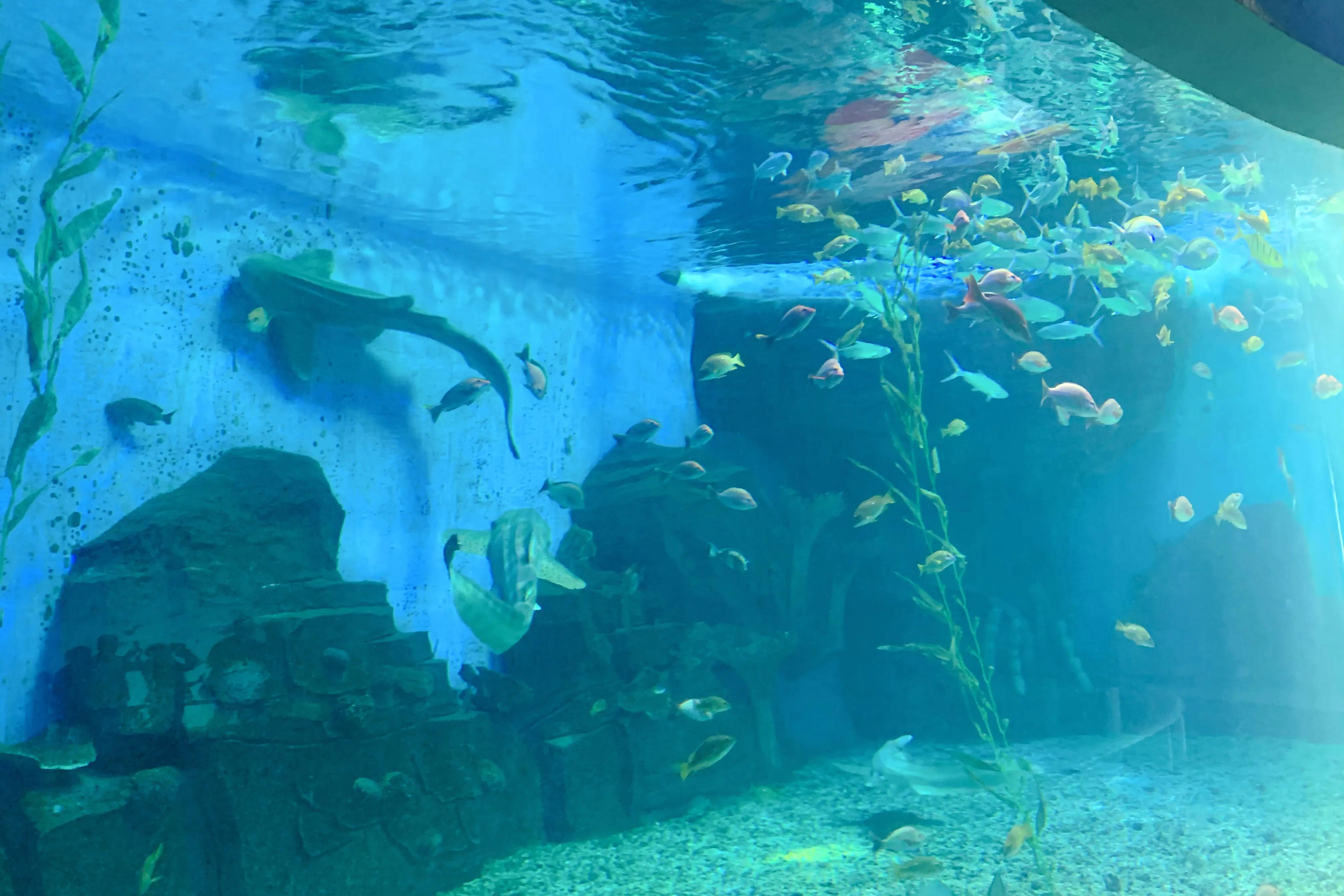 五一假期到动物园,五一出去玩花一千多