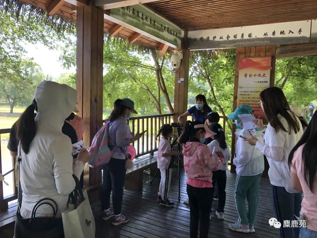 鸟类科普教学,鸟类科普课程