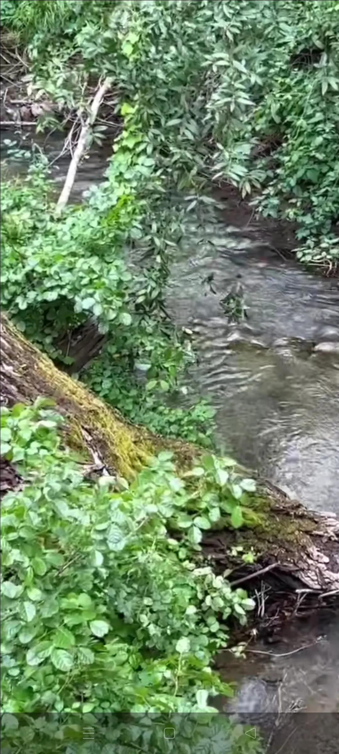 家的故事装修公司,家的故事游戏