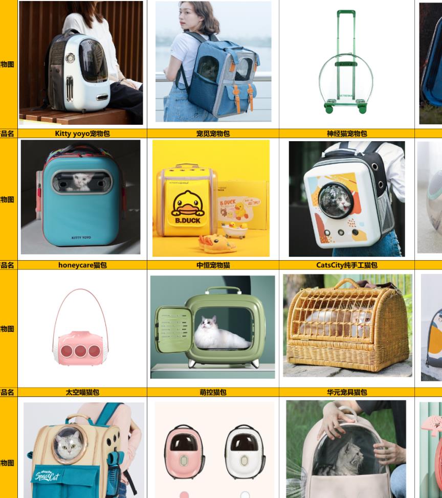 一款理想的猫包应该长什么样？这里有17个答案丨品类观察室