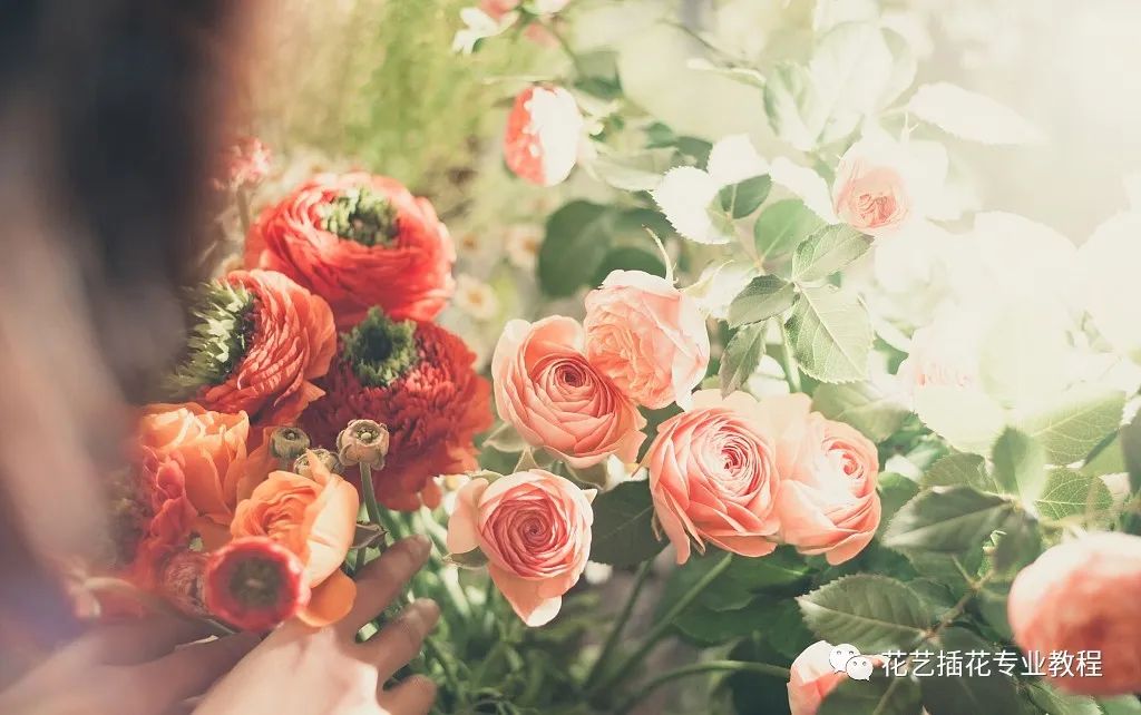 花店店铺起名创意大全集,开花店叫什么店名吸引人气