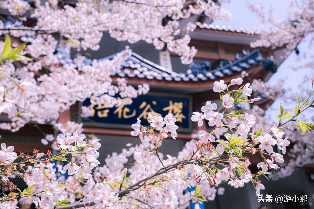 2022年南京3月免费景点一览表,南京必玩的十大景点分别在哪里