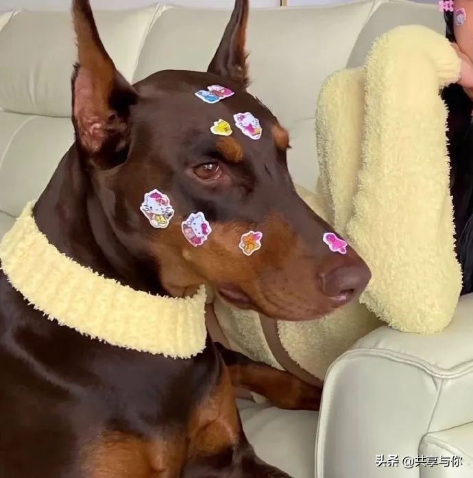 有你在身边就好的情侣头像,情侣头像和你在一起每天都超甜