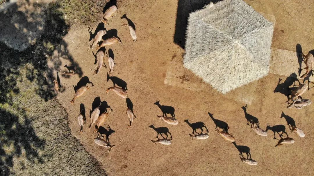 济南遛娃嗨玩这里享优惠,济南遛娃乐园周末