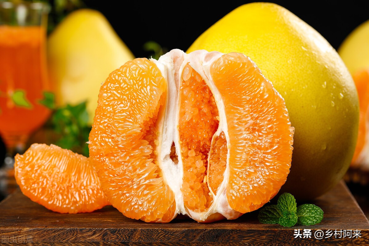 什么品种的柚子皮薄又大又甜,适合院子里种的柚子优良品种