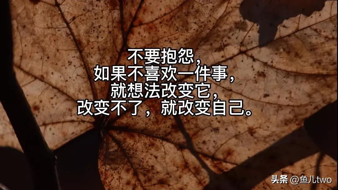 辅警四个条例两个准则心得,辅警年度考核个人总结