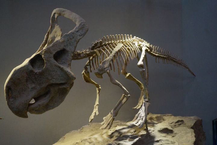 重庆春节小众自驾游推荐,重庆小众宝藏旅行地